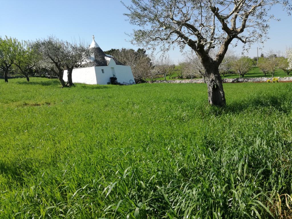 Corallo Country House Noci Exterior foto
